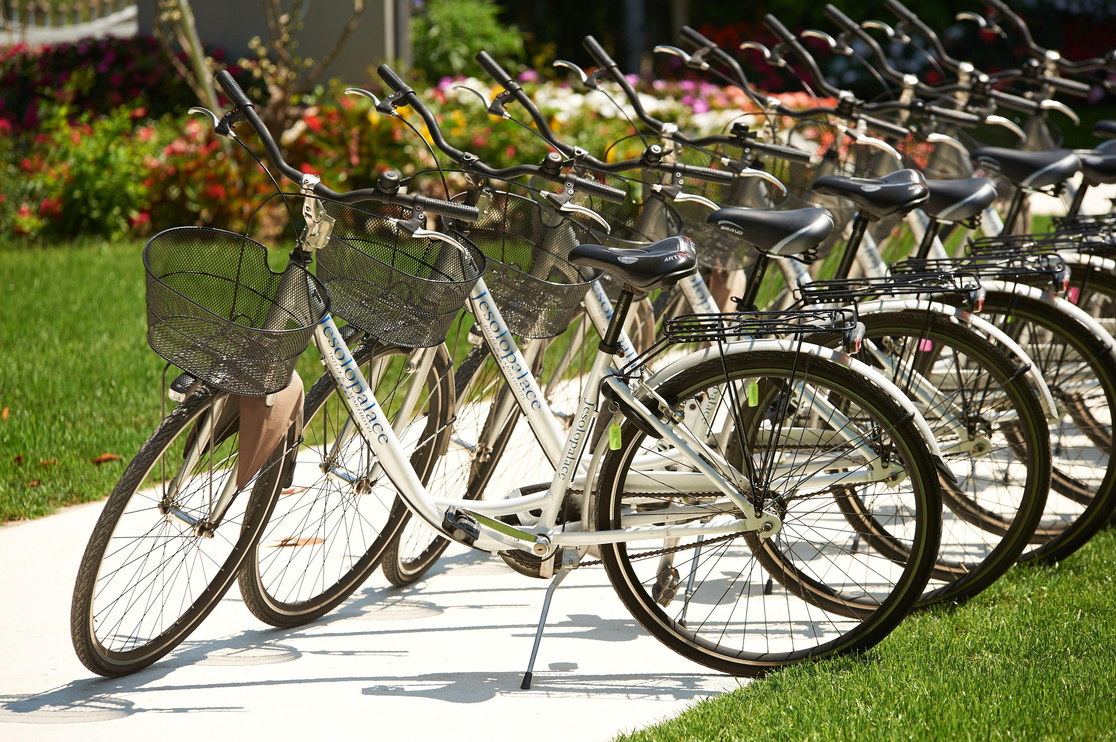 Hotel Jesolopalace & 4*